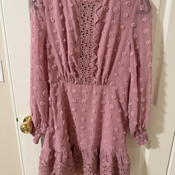 Simplee Pink Size M Long Sleeve Lace Chiffon Mini Party Dress Swiss Dot - Picture 5 of 6